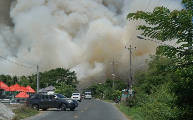 Xảy ra cháy ở Vườn quốc gia Tràm Chim tỉnh Đồng Tháp- Ảnh 1.