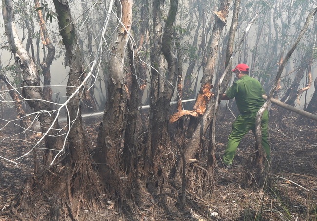Vụ cháy ở Vườn quốc gia Tràm Chim tỉnh Đồng Tháp, nhận định có người xâm nhập trái phép và dùng lửa bất cẩn- Ảnh 2.