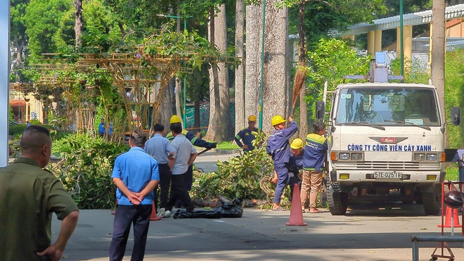 TP.HCM: 2 người thiệt mạng trong công viên vì bị nhánh cây gãy rơi trúng- Ảnh 1.