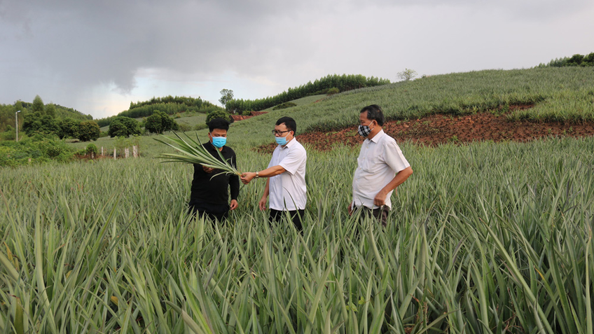 Phát triển sản phẩm OCOP – Hướng đi bền vững của nông nghiệp Lục Nam