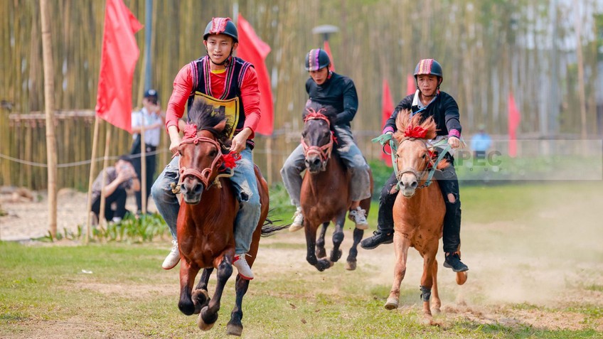 Mãn nhãn chuỗi sự kiện Giải Đua Ngựa Tây Bắc tại Nghĩa Lộ, Yên Bái