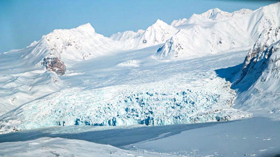 10 chuyện lạ khó tin về việc sinh tồn ở Bắc Cực