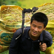 Thanh niên trai tráng