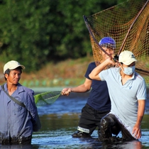 Vui vẻ đánh bắt cá