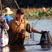 Người dân bắt cá