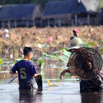 Người dân bắt cá