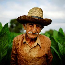 Nông dân Osvaldo Lemas, 83 tuổi