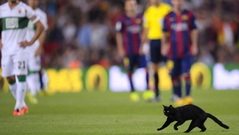 Thần mèo được Messi nhập tung cú sút không thể cản phá