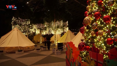 Singapore: Cắm trại đón Giáng sinh ở sân bay