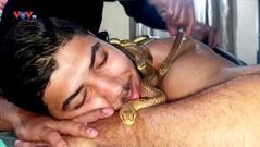 Độc đáo phương pháp massage bằng rắn