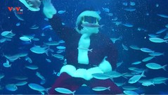 Màn trình diễn dưới nước của ông già Noel Nhật Bản