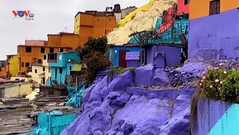 Tô màu cho khu phố ngoại ô thủ đô Lima