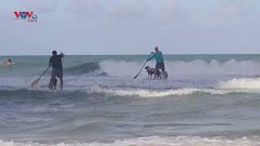 Lễ hội chó lướt ván ở Brazil