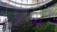 Gian hàng gần gũi với thiên nhiên của Singapore tại EXPO 2020 Dubai