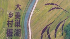 Ngắm những cánh đồng tranh vẽ ở Trung Quốc