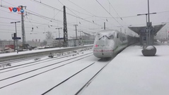 Đức: Bão tuyết làm tê liệt hệ thống giao thông