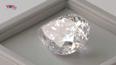 Sotheby's đấu giá viên kim cương khổng lồ, chấp nhận thanh toán bằng tiền điện tử