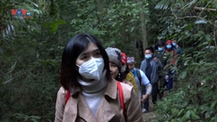 Tuyên Quang: Khám phá rừng đặc dụng Tân Trào, chinh phục đỉnh núi Hồng 