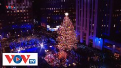 New York khởi động mùa lễ hội cuối năm với màn thắp sáng cây thông