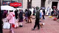 Canada: Diễu hành chó Corgi nhân kỷ niệm 70 năm Nữ hoàng Anh lên ngôi