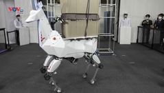 Nhật Bản: Robot 4 chân vận chuyển hàng hóa