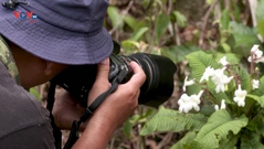 Nhiếp ảnh gia Malaysia bảo tồn nhiều loài thực vật có nguy cơ tuyệt chủng