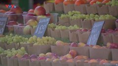 Lạm phát giá lương thực ở Anh tăng cao kỷ lục