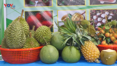 Đồng Nai: Khai mạc tuần lễ tôn vinh trái cây và sản phẩm OCCP năm 2023