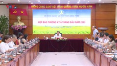 6 tháng đầu năm, sản xuất nông nghiệp nhiều khởi sắc