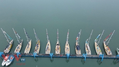 Cận cảnh 11 chiếc thuyền buồm Clipper Race tại Hạ Long, Quảng Ninh