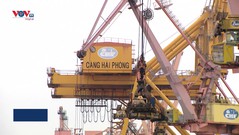 Bộ Lao động, Thương binh và Xã hội làm việc với cảng Hải Phòng về công tác an toàn lao động