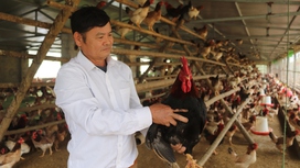 Lạc Thuỷ: Thi đua sản xuất, kinh doanh giỏi để giảm nghèo bền vững