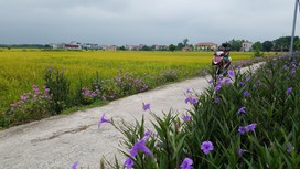 Hà Nam: Chuyển biến mới ở thị xã Duy Tiên