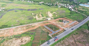 Quảng Ngãi xử lý doanh nghiệp san lấp ruộng lúa làm khu dân cư trái phép