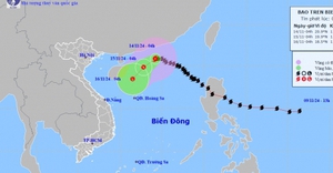 Bão số 8 trên Biển Đông có sức gió giật cấp 10