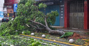 Trung Quốc: Siêu bão Yagi đổ bộ lần 2, có thể đổ bộ lần 3