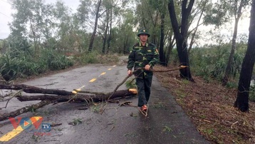 Quảng Trị không có thiệt hại lớn do bão số 13 gây nên