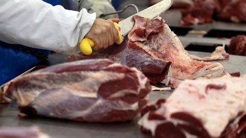 Trung Quốc tìm thấy virus Corona trên thịt bò đông lạnh và thịt ba chỉ nhập khẩu