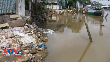 Triều cường, mưa to gây ra hàng chục điểm sạt lở tại huyện Cái Bè, Tiền Giang