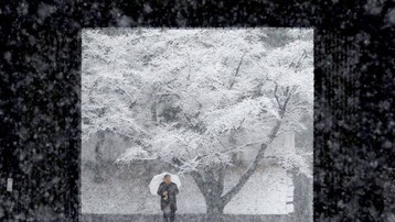 Nhật Bản đối mặt với một mùa Đông rất khắc nghiệt