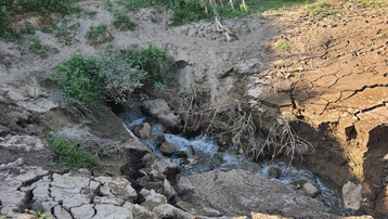 Xử phạt một công ty về hành vi xả nước thải không qua xử lý ra sông Hồng