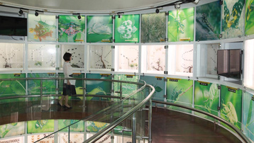 Bảo tàng Quảng Ninh: Không gian ấn tượng và độc đáo