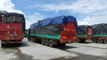 Vụ bắt 100 xe Trung Quốc ở Lào Cai: Có chân gà, thuốc sâu, hàng hiệu giả