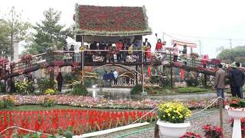 Khai mạc lễ hội hoa Xuân tại vùng trồng hoa lớn nhất miền Bắc