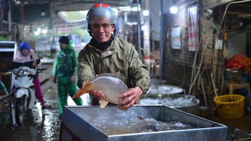 Ảnh: Người lao động tay trần bắt cá, khiêng đá lạnh giữa cái rét tê tái ở Hà Nội