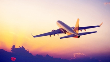 Máy bay phải bay vòng trên trời cả tiếng đồng hồ để chờ… đuổi chó!