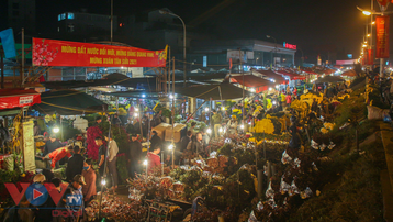 Chợ hoa Quảng An tất bật trong đêm những ngày cận Tết