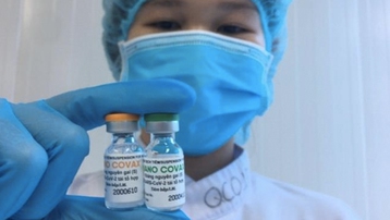 Việt Nam dự kiến mua 30 triệu liều vaccine Covid-19 của Anh