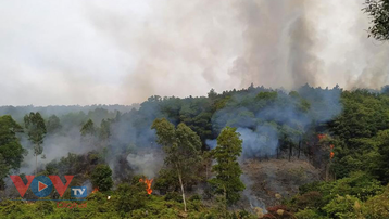 Hàng trăm người thức xuyên đêm dập cháy rừng tại Hạ Long