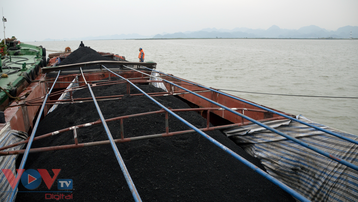  Tạm giữ 500 tấn than không rõ nguồn gốc trên biển